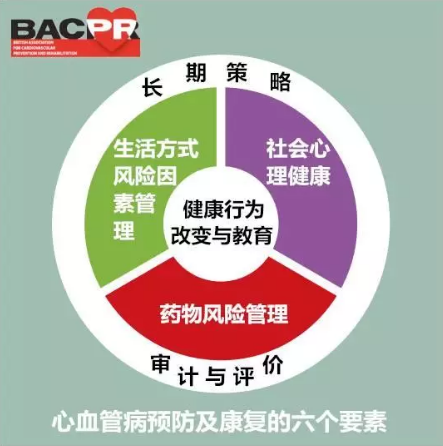 英国心血管病预防和康复协会(BACPR)提出的心血管病预防康复六要素