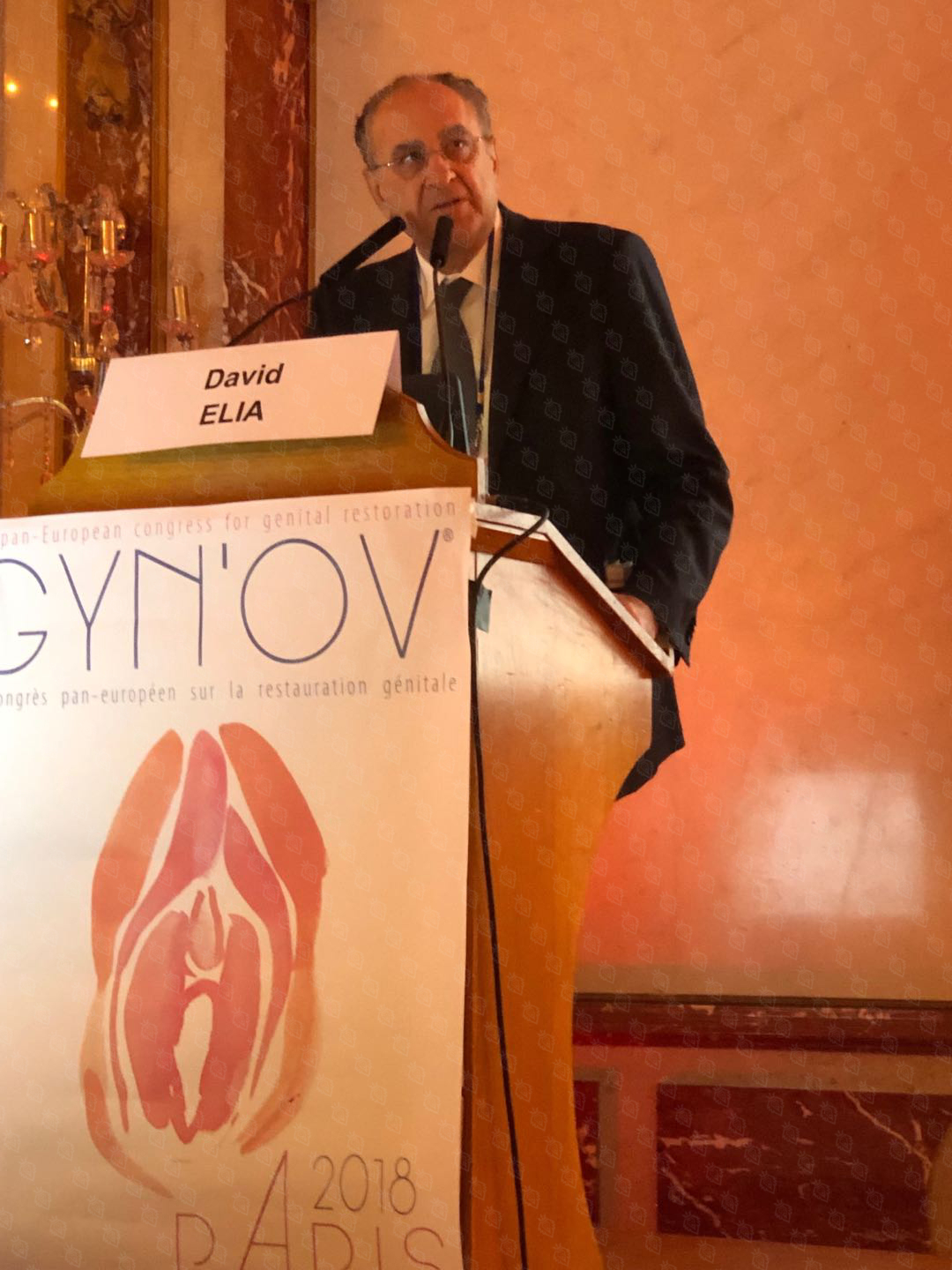 大卫·埃利亚医学博士组织举办欧洲首个生殖修复会议——巴黎GYN’OV大会